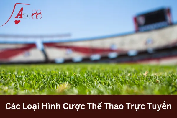 Cược thể thao trực tuyến